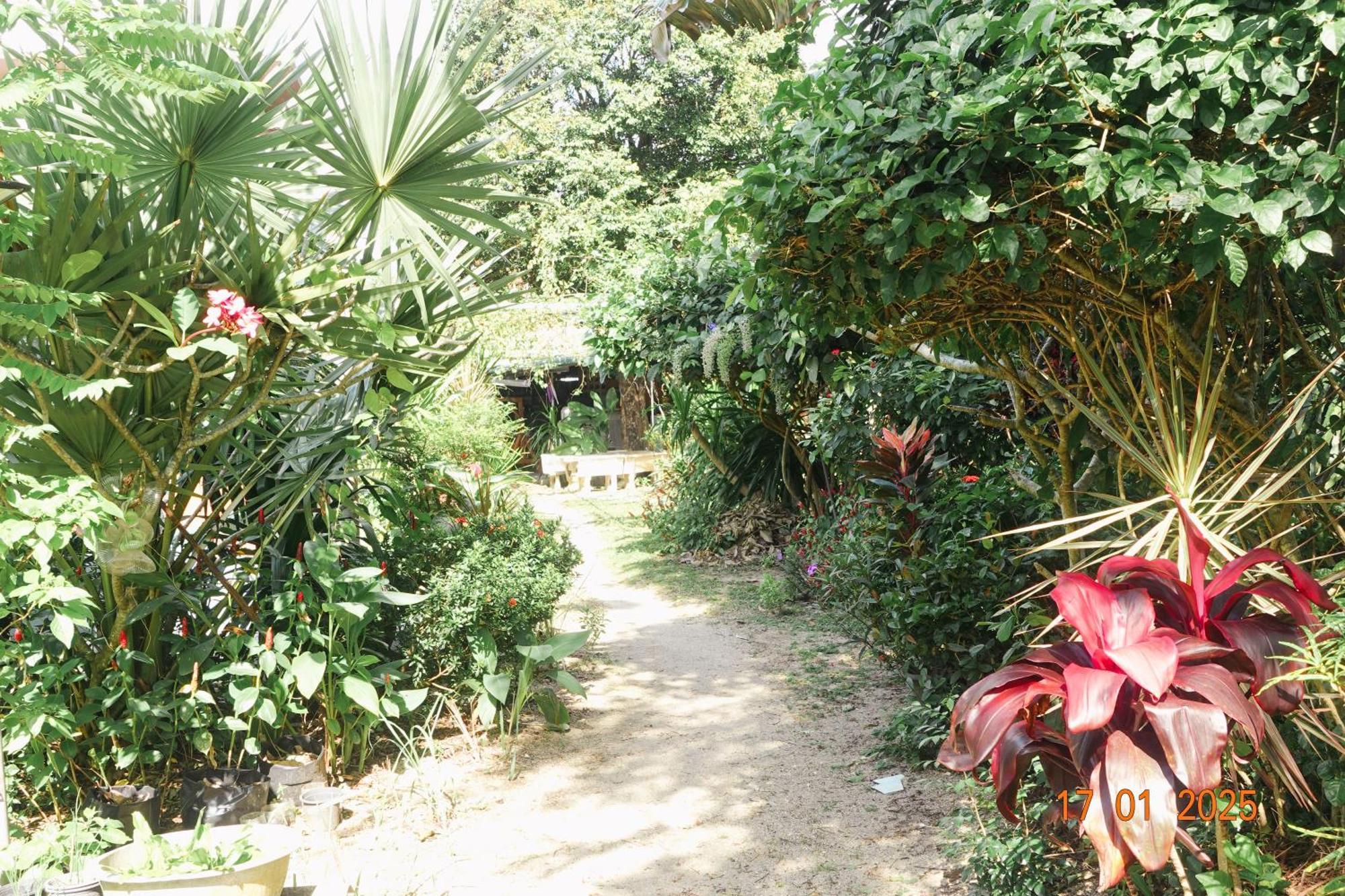 Subsavet Village Ko Pha Ngan Exterior foto